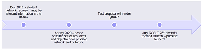 Arrow showing the journey from Dec 2019 - student networks survey - may be relevant information in the results; Spring 2020 - scope possible structures, aims and objectives for possible network and forum; test proposal with wider group?; ending with July RCSLT 75th diversity themed Bulletin - possible launch?