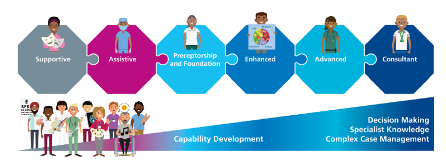Capability Development. Supportive to Assistive to Preceptorship and Foundation to Enhanced to Advanced to Consultant